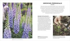 RHS How to Garden New Edition