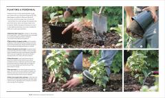 RHS How to Garden New Edition