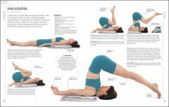 Yoga The Path to Holistic Health