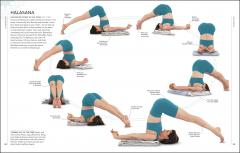 Yoga The Path to Holistic Health