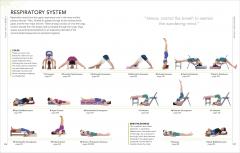 Yoga The Path to Holistic Health