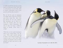 Dynasties: Penguins - Penguin Readers Level 2