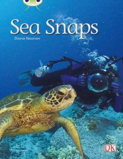 Coperta cărții Bug Club Independent Non Fiction Year 1 Green A Sea Snaps
