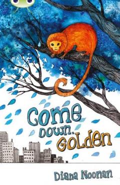 Coperta cărții Bug Club Independent Fiction Year 3 Brown A Come Down, Golden