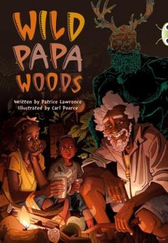 Coperta cărții Bug Club Independent Fiction Year 6 Red B Wild Papa Woods