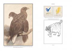 The Natural History of Edward Lear