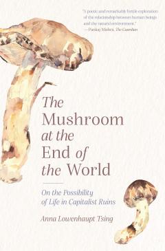 anna tsing mushroom at the end of the world