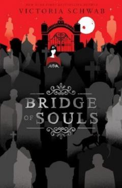 Coperta cărții Bridge of Souls