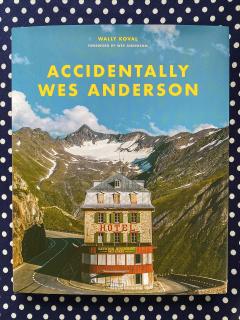 Accidentally Wes Anderson
