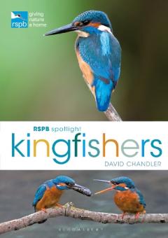 Coperta cărții RSPB Spotlight Kingfishers