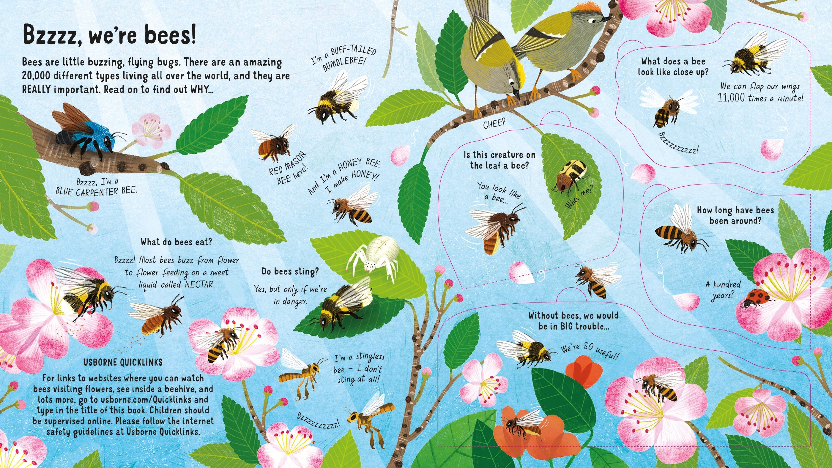 Look Inside the World of Bees Emily Bone