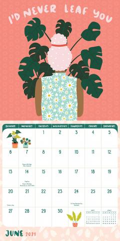 Calendar 2021 - Crazy Plant Lady Mini