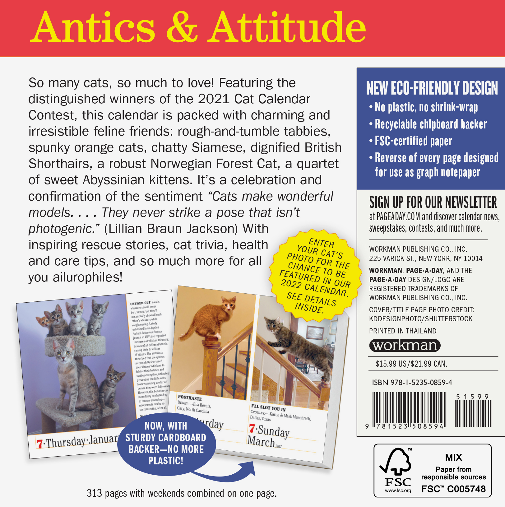 calendar-2021-365-cats-page-a-day-workman-publishing