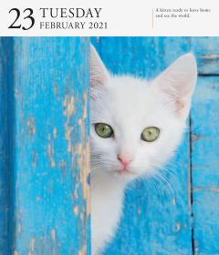 Calendar 2021 - Cat Page-A-Day Gallery 