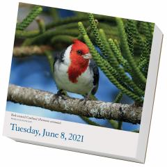 Calendar 2021 - Audubon Birds Page-A-Day 