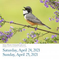 Calendar 2021 - Audubon Birds Page-A-Day 