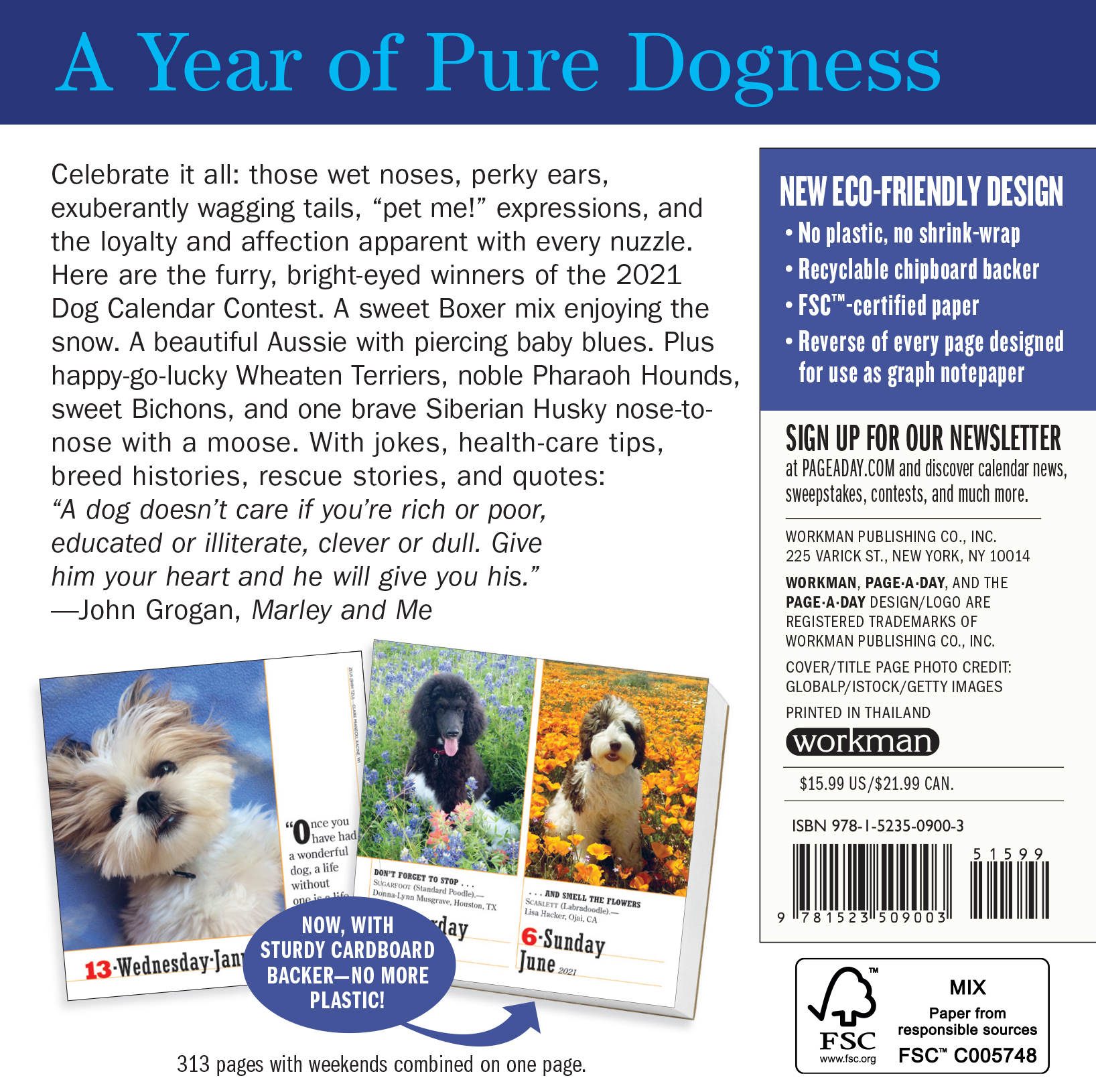 365 Dogs Page A Day Calendar 2024 Best Ultimate The Best Famous New
