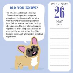 Calendar 2021 - Year of Dog Trivia Page-A-Day 