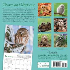 Calendar 2021 - Audubon Little Owls Mini
