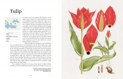 Plant-Hunter's Atlas