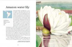 Plant-Hunter's Atlas