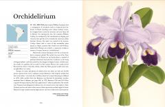 Plant-Hunter's Atlas