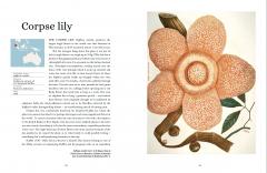 Plant-Hunter's Atlas