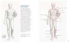 Dynamic Human Anatomy