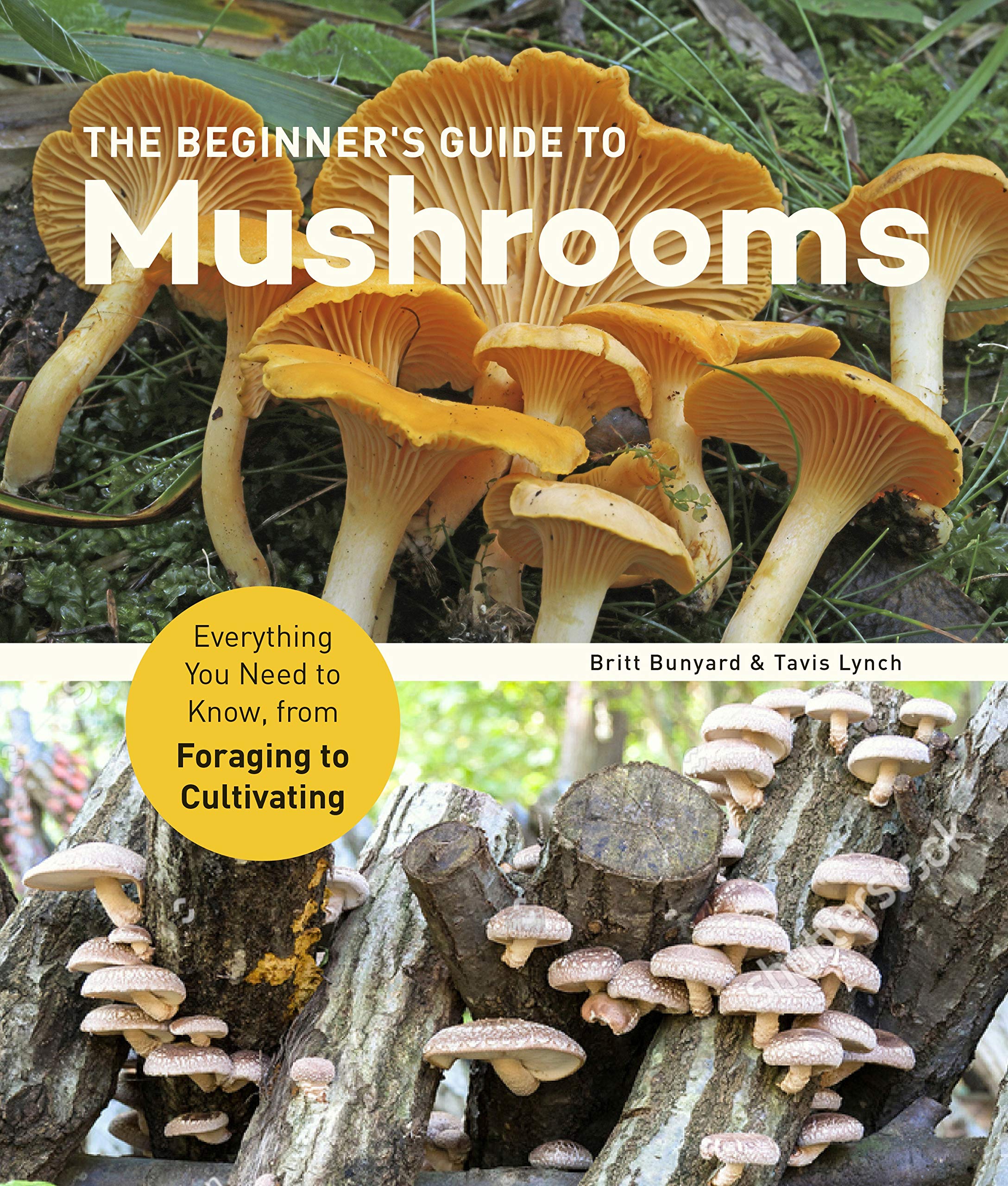Beginner&#039;s Guide to Mushrooms