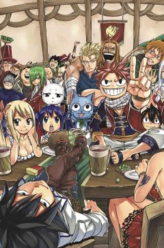 Fairy Tail - Manga Box Set 4