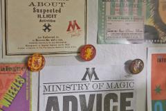 Set 6 magneti - Harry Potter: Gryffindor Glass Magnet Set