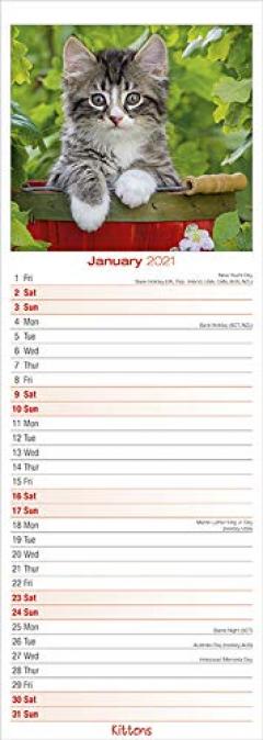 Calendar 2021 - Kittens - Slim 