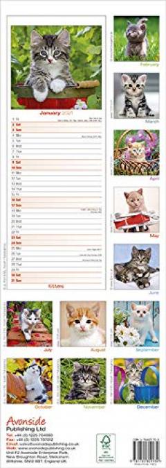 Calendar 2021 - Kittens - Slim 