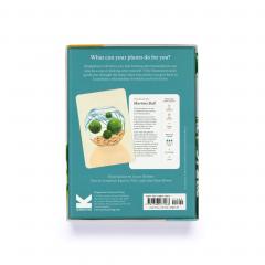 Plantfulness - Cards