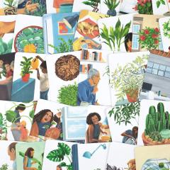 Plantfulness - Cards