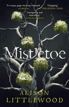 Coperta cărții Mistletoe