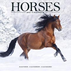 Calendar 2021 - Horses