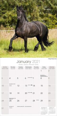 Calendar 2021 - Horses