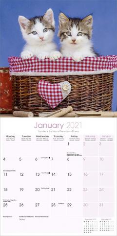Calendar 2021 - Kittens