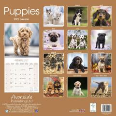 Calendar 2021 - Puppies 