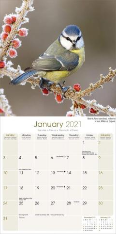 Calendar 2021 - Seasons 