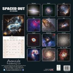 Calendar 2021 - Spaced Out 