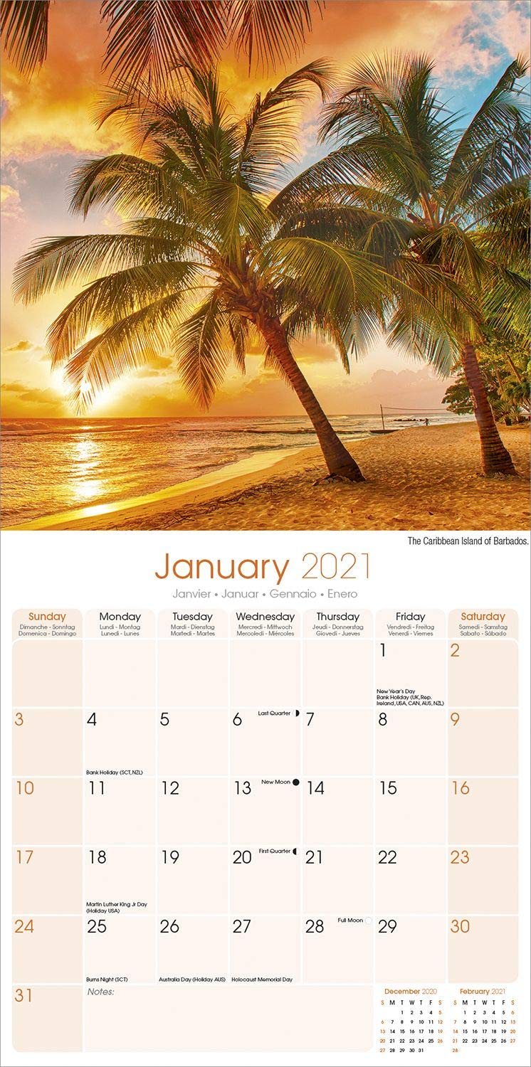 calendar-2021-tropical-islands-avonside-publishing-ltd