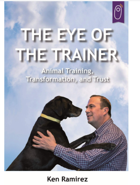 Eye Of The Trainer