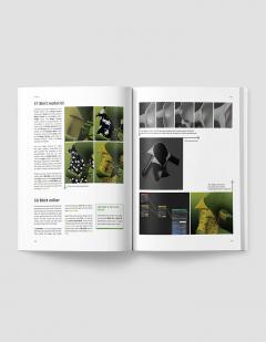 Beginner's Guide to Creating Characters in Blender