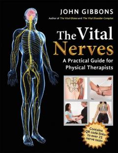 Vital Nerves