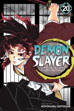 Demon Slayer: Kimetsu no Yaiba - Volume 20