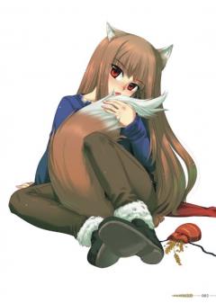 Keito Koume Illustrations Spice & Wolf