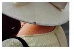 Martin Parr: From the Pope to a Flat White