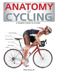 Anatomy of Cycling